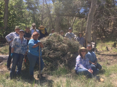 A crew poses by a pile of removed plants 