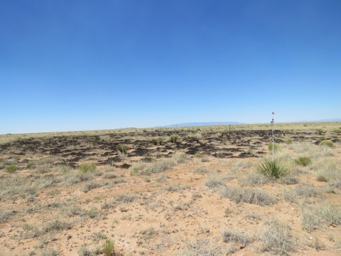 A partially burned field