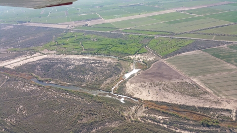 Aerial view of a river and surrounding area