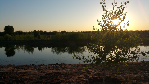 A sunrise over a lake