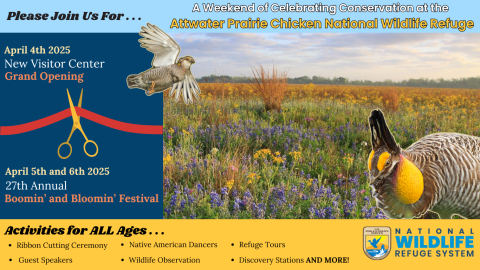 Grand Opening and 27th Annual Boomin' and Bloomin' Festival - Activities for All