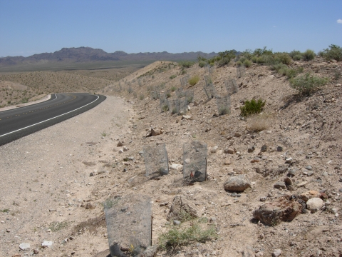 The side of road with some plants in circular fenced spots