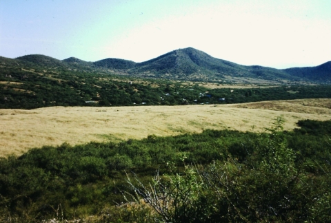 An area of land with a cleared section