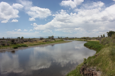 A river with green vegetation on either side