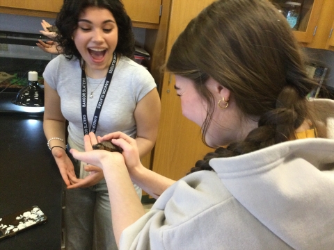 Bangor High School students hold a wood turtle headstart. 