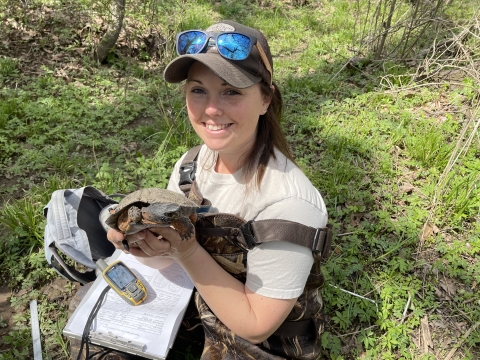 Biologist Chelsea DiAntonio with a wood turtle