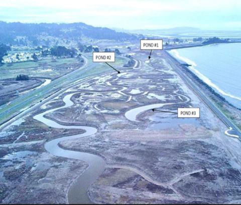 Completed Elk River Tidal Marsh Enhancement Project with the three ponds labeled in Eureka, California.