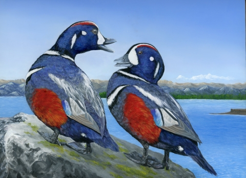 Oil paint rendering of two male harlequin ducks standing on a rock, with a blue body of water and a mountain range in the background.