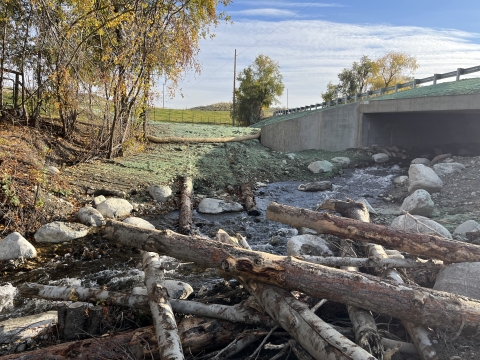 A small creek with logs and rocks flows under a concrete bridge on a sunny day. Trees with autumn leaves line the sides, and a grassy hill is visible in the background. The sky is partly cloudy.