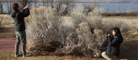Two people use their phones to take photos of a plant