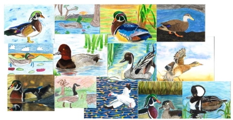 2025 First Place Winners