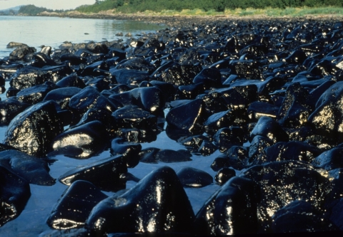 Oil sheen on rocks