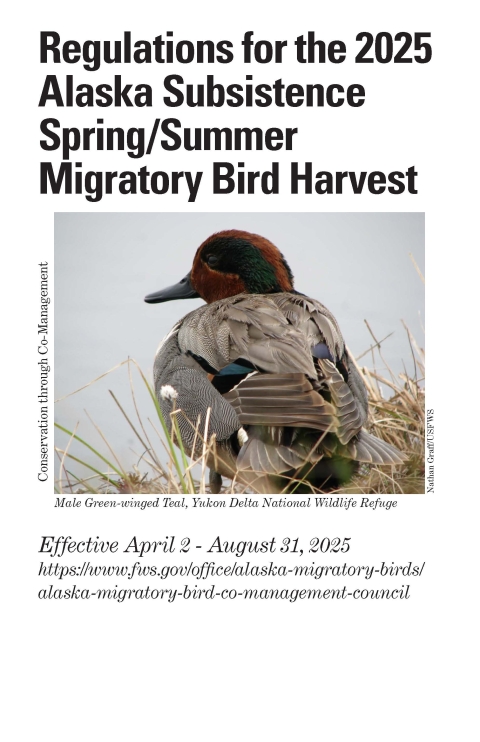 Cover for the Regulations for the 2025 Alaska Subsistence Spring/Summer Migratory Bird Harvest. Effective April 2 - August 31, 2025