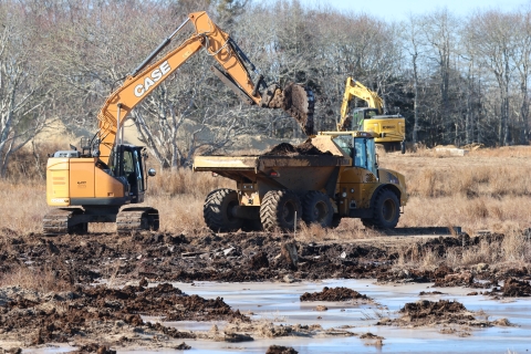a yellow backhoe loads soil into a yellow dump truck, with water in the foreground and leafless trees in the background