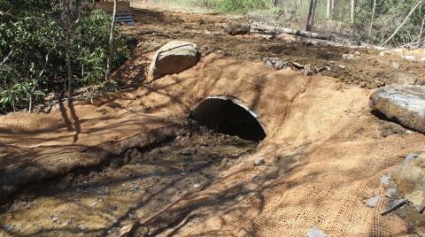 Image of restored culvert with matting and trees under a dirt trail.