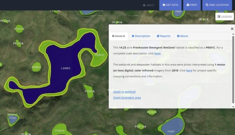 Example of NWI digital geospatial data as displayed on the Wetlands Mapper