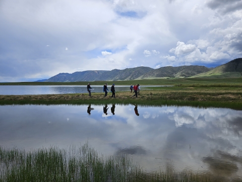 2023 Wyoming Toad Release