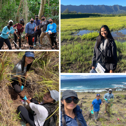 A collage of Nikki Imamura at different stages of her conservation career