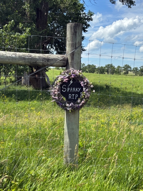 A wreath reading "Sparky RIP" hangs on a fence post, remembering Sparky, a bison who survived a lightning strike, at Neal Smith National Wildlife Refuge in Iowa