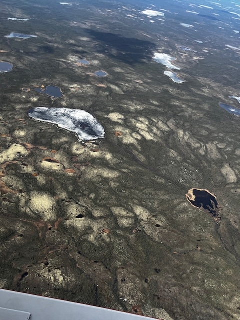 aerial view of a landscape with mountains and trees and water