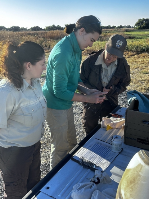 3 people stand at table, middle one holds bird