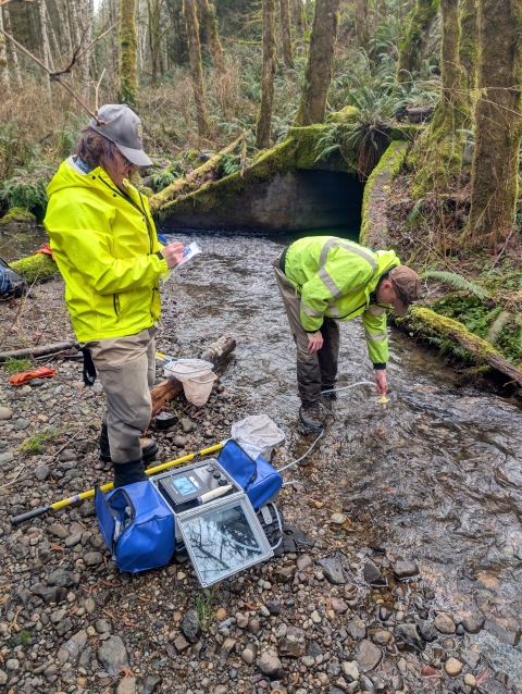 Two people wearing bright yellow jackets stand in a stream while taking samples from the water
