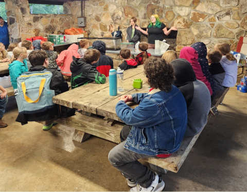 Animals Introductions 2