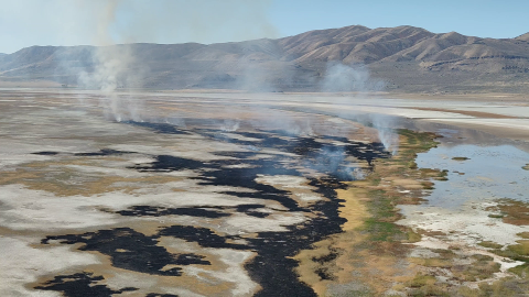 Smoke rises from black patches of previously burned wetlands.