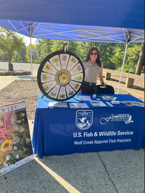 person standing behind table