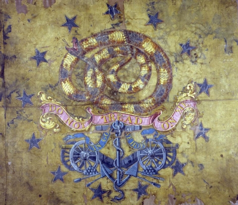 a rattlesnake on a flag with text "DO NOT TREAD ON ME"