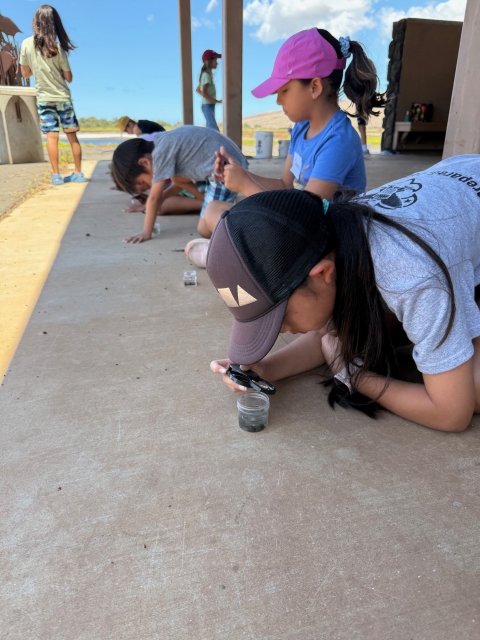 Three children sitting down, looking into plastic jars using hand lenses.