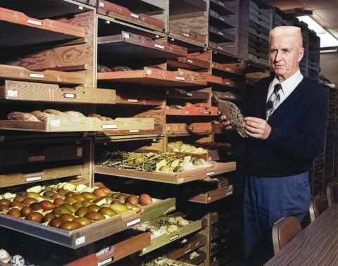 An older man with crew cut, wearing a sweater over a white shirt and patterned tie, displays a number of shelves pulled open to show collections of bird eggs and stuffed birds.