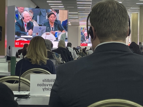 Director Nesvik and Naimah Aziz are shown on the large screen at CITES CoP20