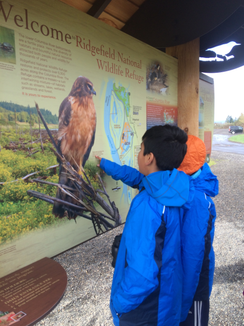 Two children point at and read an interpretive sign at Ridgefield National Wildlife Refuge