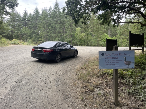 Black car in front of auto tour sign with a background of tall green trees