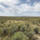 Landscape view of green sagebrush underneath a blue sky filled with fluffy clouds.