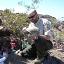 Photo of man kneeling and holding a Mojave desert tortoise