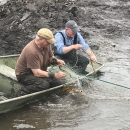 Two men in a boat pull in a net from the water at the edge of a muddy bank. The net has one fish caught in it.
