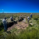 people working along a streambank in a field of sagebrush with big, blue sky