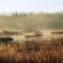 View of Endicott Marsh in winter with brown grass and water 
