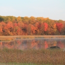 Red and orange trees line a pond in fall.