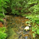 A small stream with riparian vegetation and cobble substrate