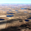 Prairie Pothole Landscape