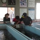 Three people lean over an indoor rectangular aquaculture tank.