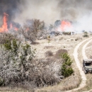 area of brownish shrubs with small fires, firefighters
