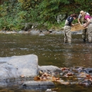 Four people in stream look in a seine they hold above water