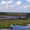 Wetlands under a blue sky with clouds