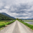 A gravel road leading into a wetland