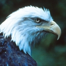 An image of the cover for the general brochure.