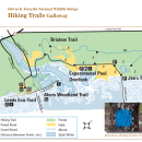 Edwin B. Forsythe National Wildlife Refuge: Hiking Trails Galloway